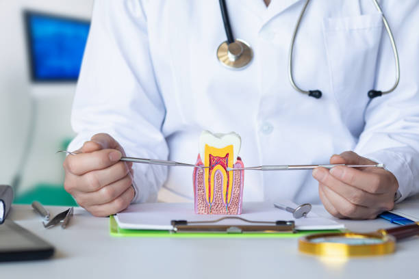 Best Emergency Wisdom Teeth Removal in Albany, MO
